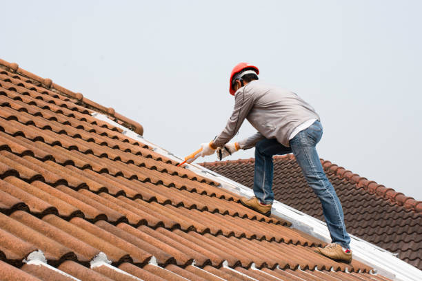 Best Asphalt Shingle Roofing  in Penn Estates, PA